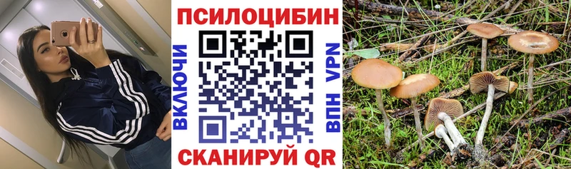 Галлюциногенные грибы GOLDEN TEACHER  Купить  Бежецк 